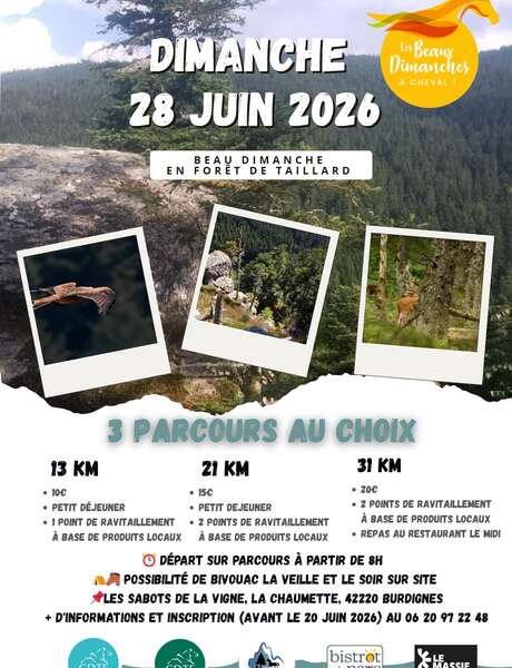 Sortie équestre "Beau dimanche en forêt de Taillard"