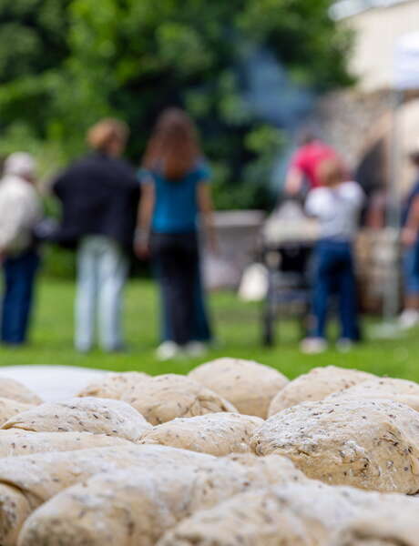 Les rendez-vous aux jardins