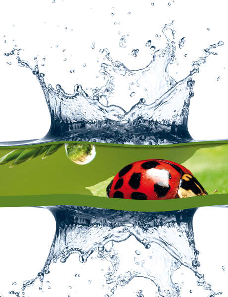Ausstellung: Wasser H2O