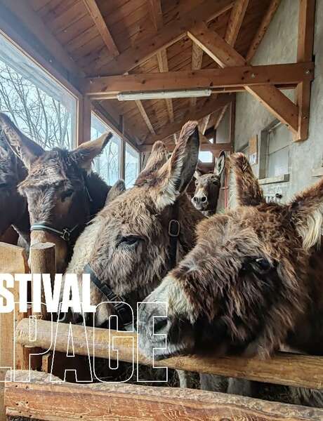 Festival de l'Alpage : Visite de la ferme tout la Ô