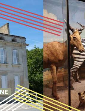 Journées européennes du patrimoine : musées nationaux de l'île d'Aix