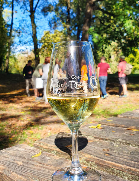Apéro Vignes at Domaine Anthony Paret