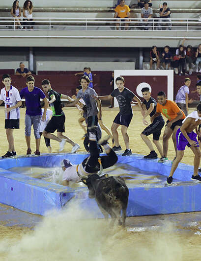 Toro piscine