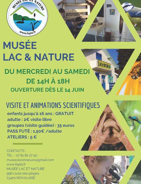 Construction d'un nichoir à mésange