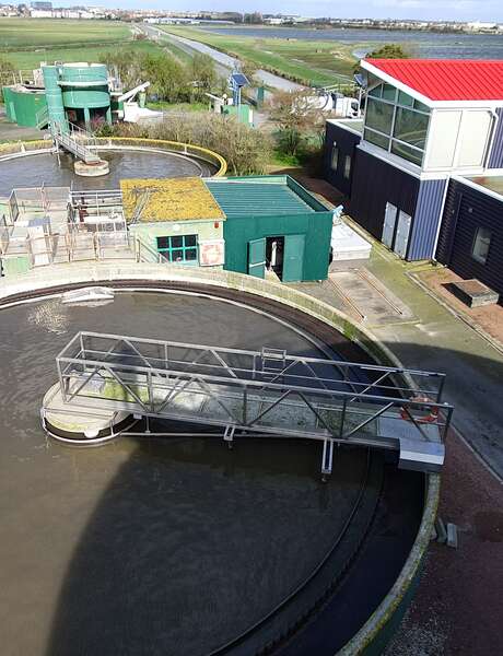 Echappée nature, le marais transbordeur à la station de lagunage