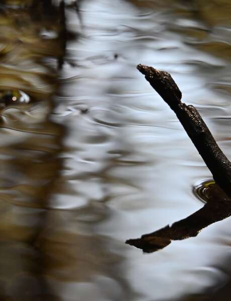 Festival Allevard en images : Concours photo