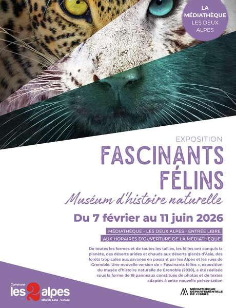 Exposition - Fascinants félins