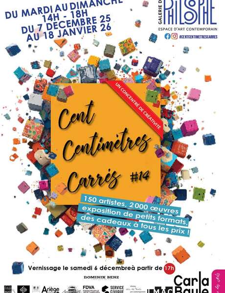 Exposition Cent Centimètres Carrés #14