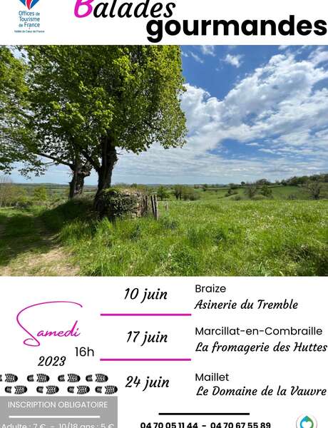 Balade gourmande à Maillet