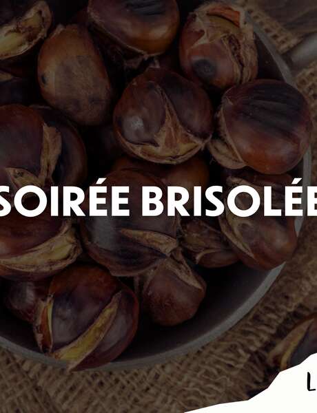 Soirée Brisolée - Le Perroquet