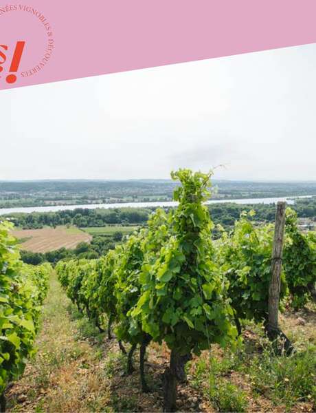 Wine Notes au Domaine Anthony Paret
