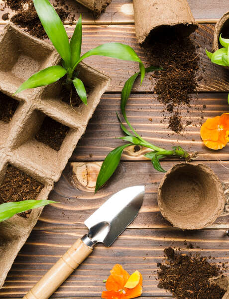 Les rendez-vous des jardiniers