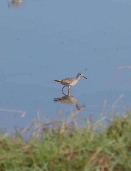 40th anniversary tour of the Moëze-Oléron nature reserve