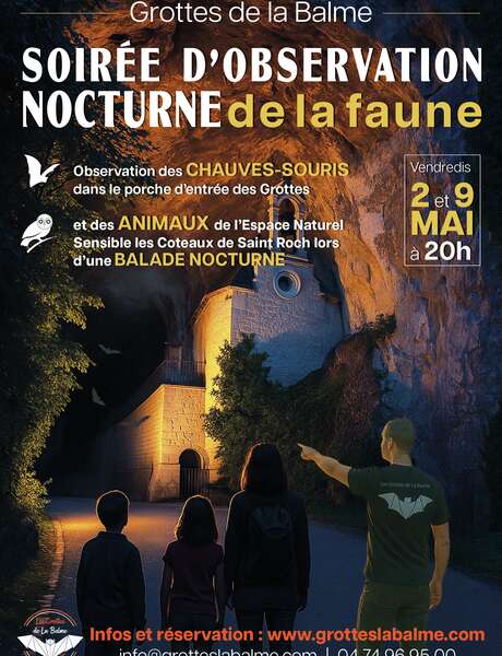 Soirée d'observation nocturne de la faune