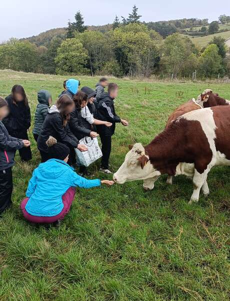 Viens visiter la ferme de Grandris