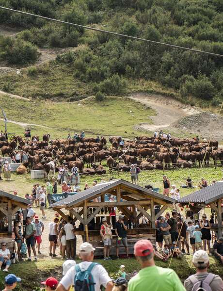 La Belle Dimanche: the mountain pastures festival (48th edition)