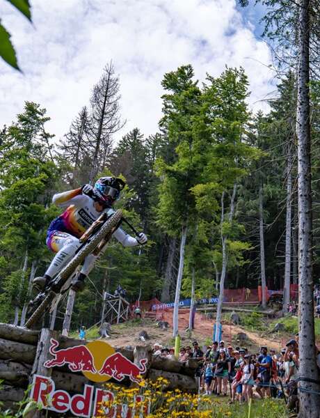 Downhill (DHI)