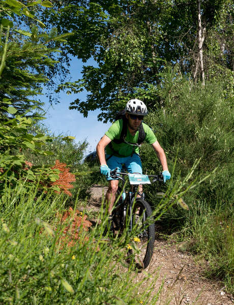 Bike and fourme festival