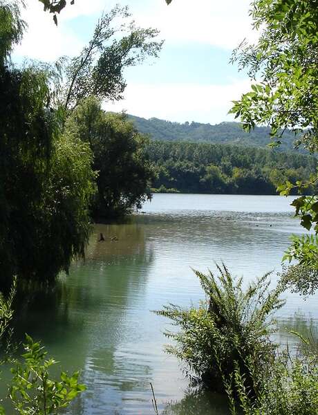 Balades découverte du patrimoine naturel de l'île du Beurre