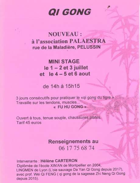 Mini stage de Qigong