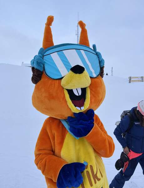 Chasse aux œufs de Pâques