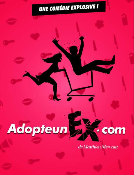 Adopte un ex - comédie