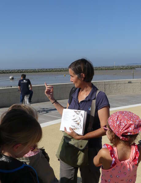 Junior Safari: Birdwatching apprentices