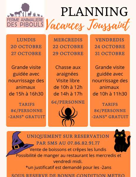Visit to the Pibouls animal farm