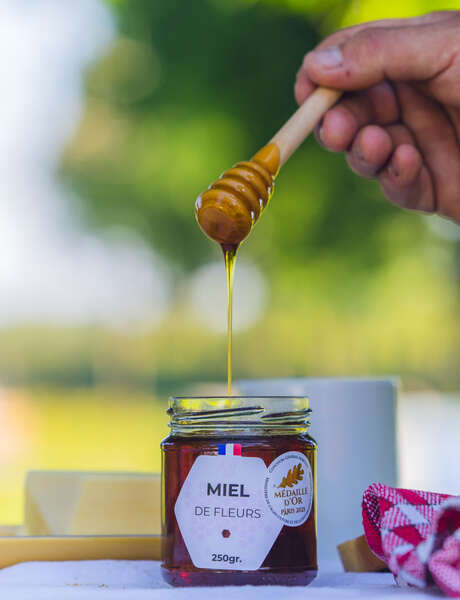 Initiation à la dégustation aux Abeilles de Méllonia