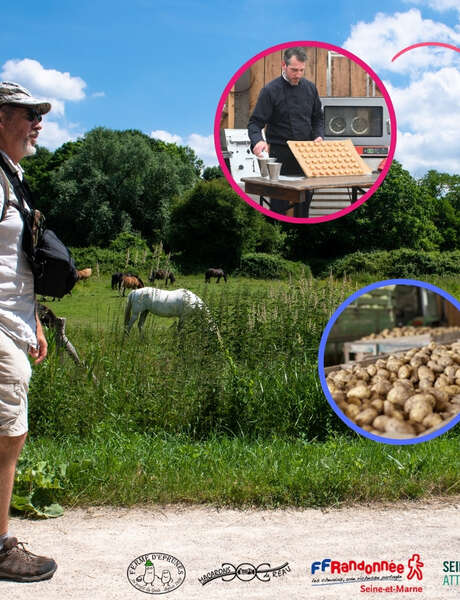 Rando des Terroirs à Grand Paris Sud