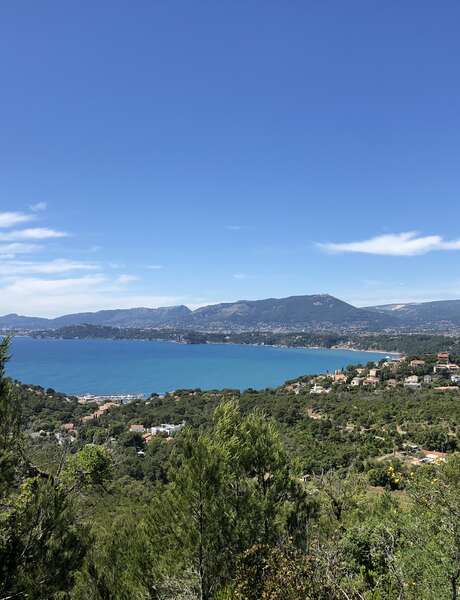 Balade découverte : Balade naturaliste du Cap Garonne avec Naturelles Balades