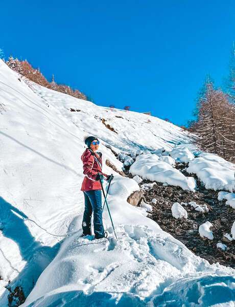 Randonnée raquette : Animaux de montagne