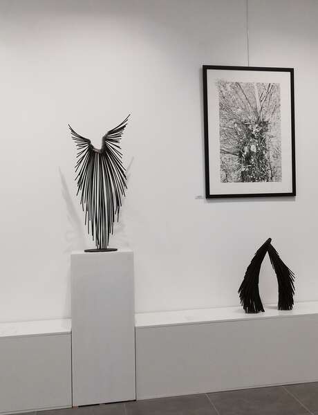 Exposition Arbres et Merveilles- Dialogue féminin