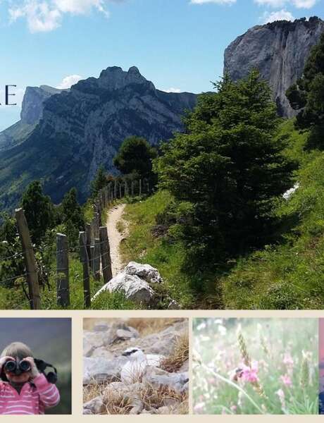 Balade CAPAO Nature - Orientation Nature