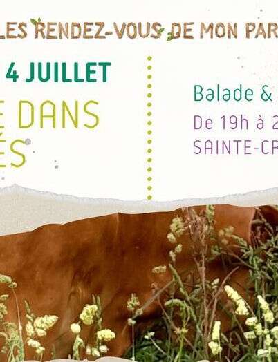 Les Rendez-vous de mon Parc "Balade dans les prés"