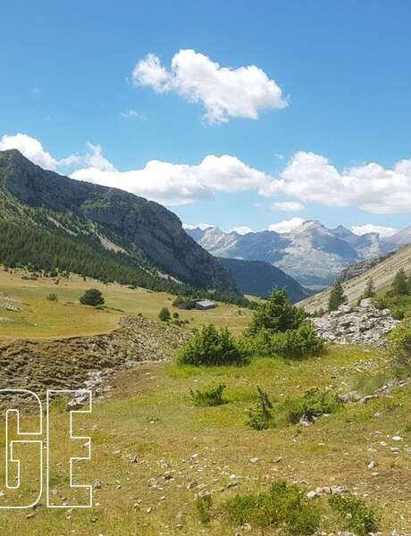 Festival de l'Alpage : Randonnée en alpage au Col du Noyer