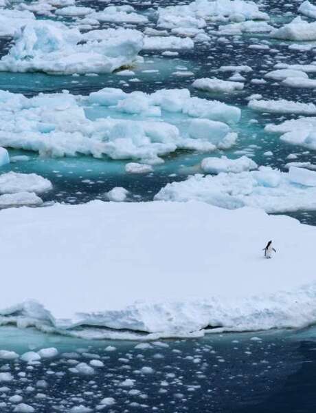 La crise climatique et l'avenir de notre histoire