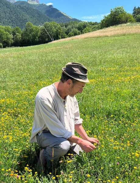 Festival Lignes de Crêtes : Balade botanique et poétique avec Gregori Lemoine, ethnobotanniste