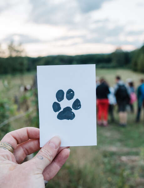 La vie secrète du sol