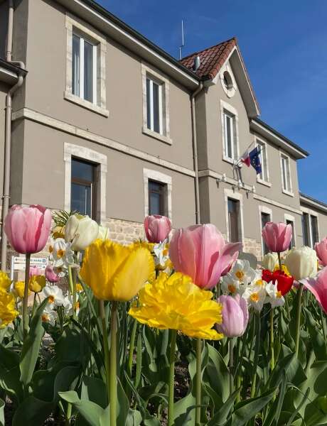 Marboz, suivez le cheminement de l'histoire