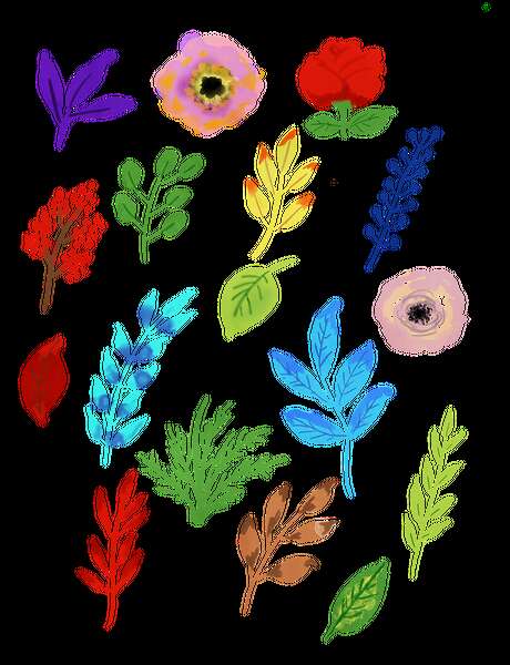 Atelier pédagogique : Fleurs de printemps