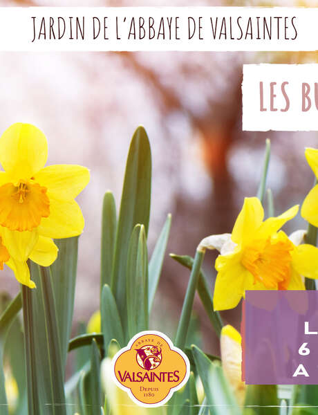 Les bulbes de Valsaintes