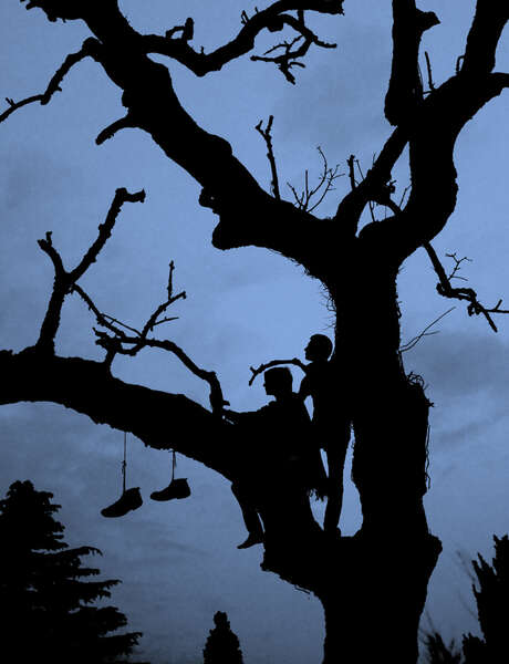 Inauguration de l'exposition : La forêt, jours et nuits. Inauguration de l'exposition : La forêt, jours et nuits.