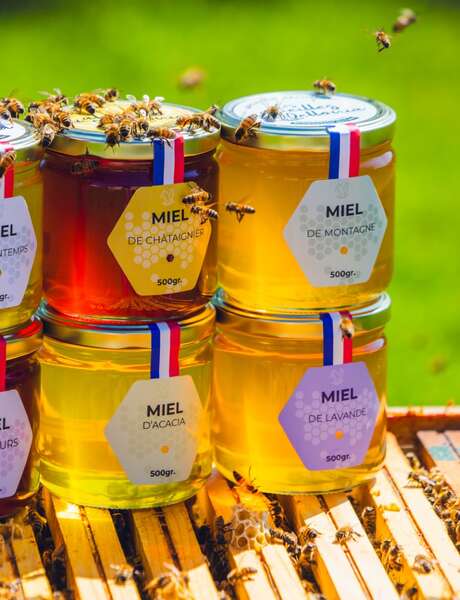 Initiation à la dégustation aux Abeilles de Méllonia