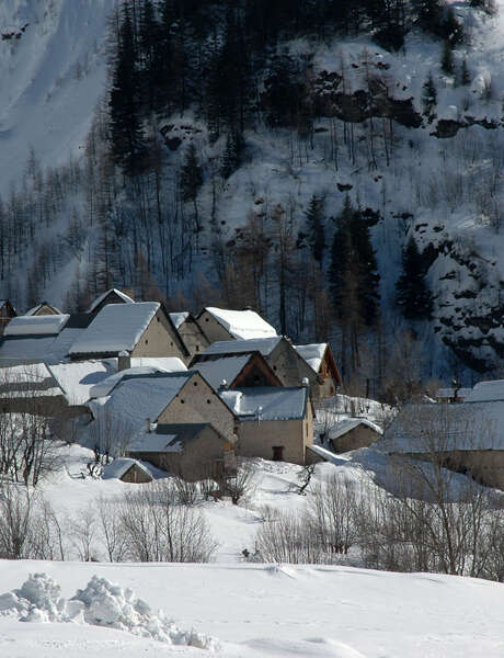 Découverte des animaux en montagne à Prapic