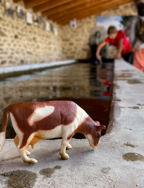 Recherche vaches désepérément - Animation famille