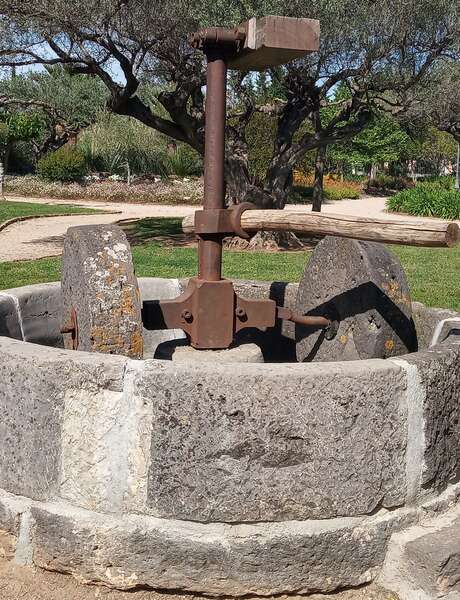 Guided tour for groups: From the mill to the wine press through history