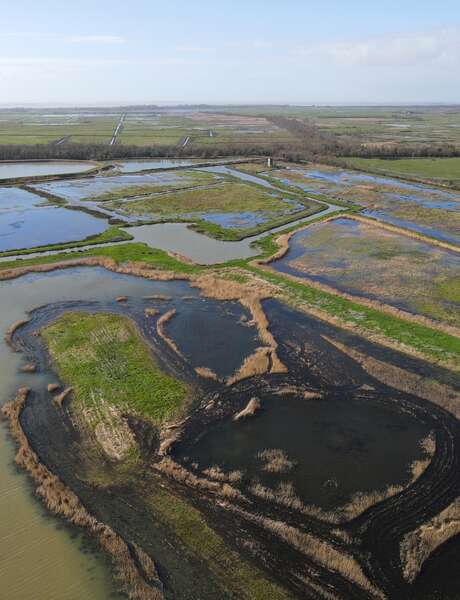 Découverte de la biodiversité