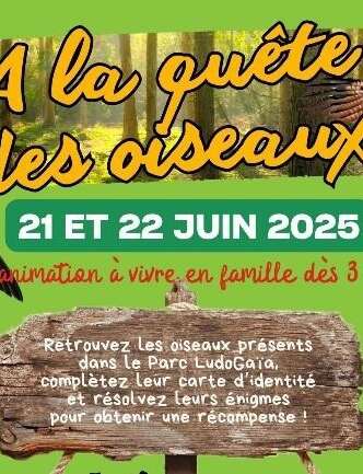 À la quête des oiseaux au Parc LudOGaïa