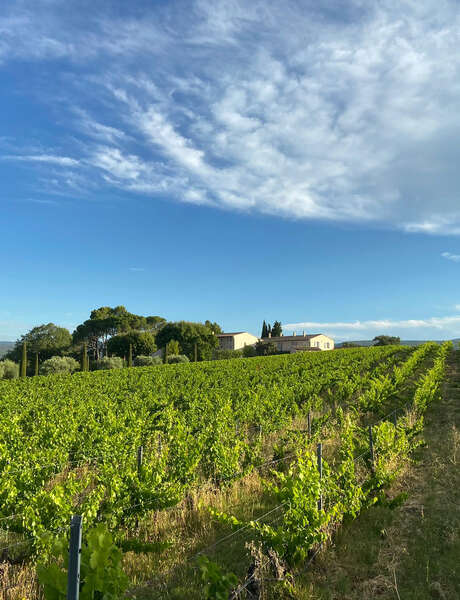 The backstage of Perréal wine estate